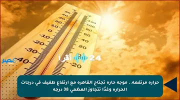 حرارة مرتفعة.. موجة حارة تجتاح القاهرة مع ارتفاع طفيف في درجات الحرارة وغدًا تتجاوز العظمى 38 درجة